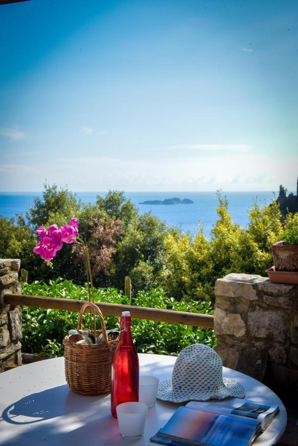 Villa Punta Del Sole Positano Bagian luar foto